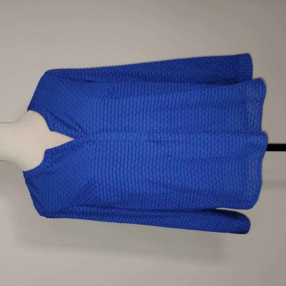 Talbots Top in Large P